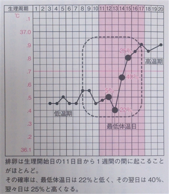 排卵,タイミング,不妊治療,多嚢胞性卵巣症候群妊娠中のお腹